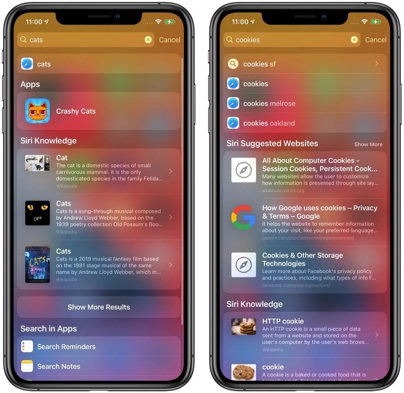 iOS 14 03