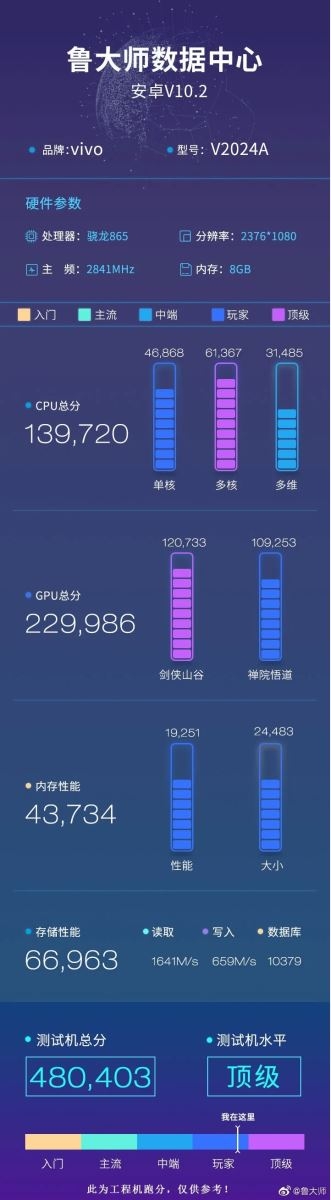 Vivo