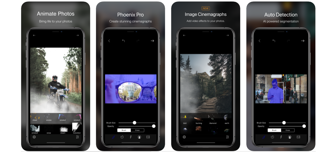 Phoenix: Cinemagraph Editor