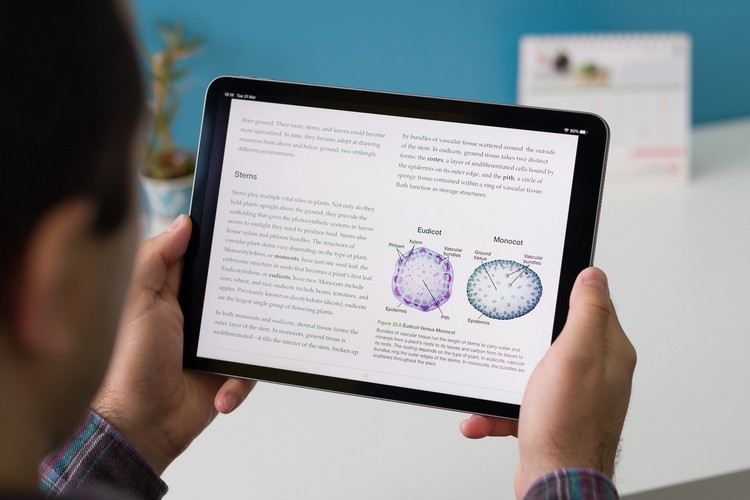 Nên chọn iPad Wifi hay iPad Cellular?