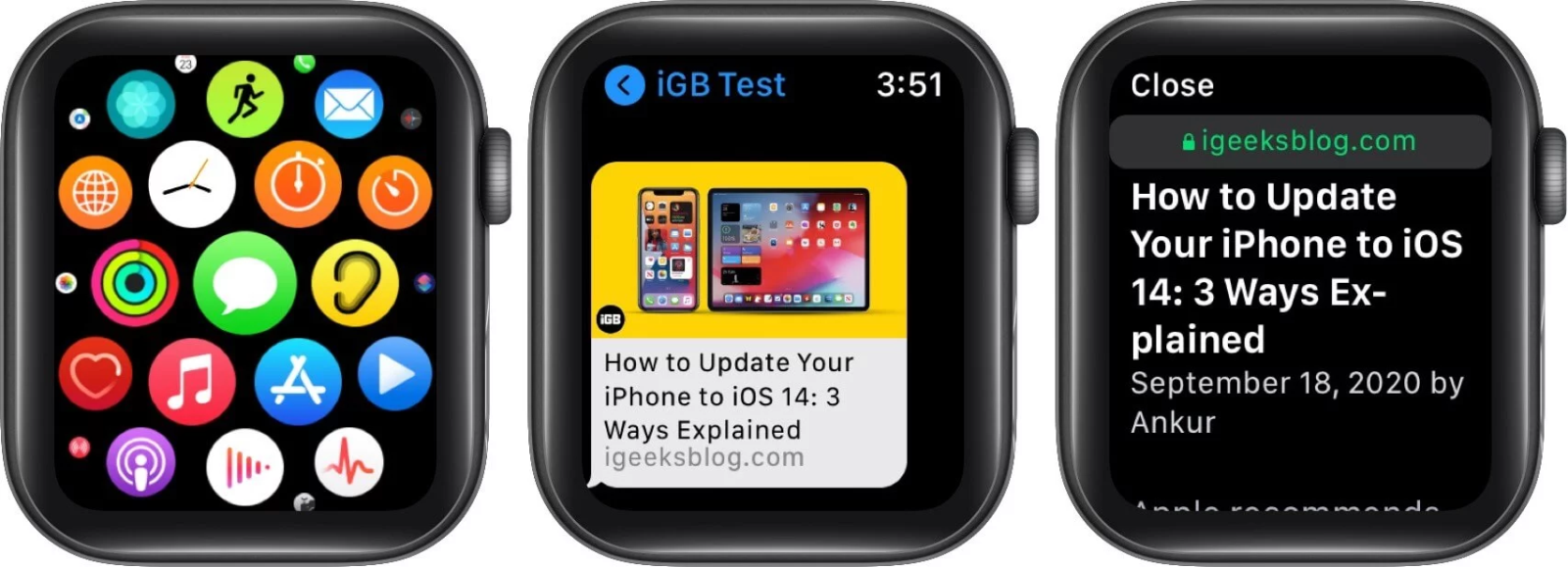 cách mở trang web trên apple watch - hình 2