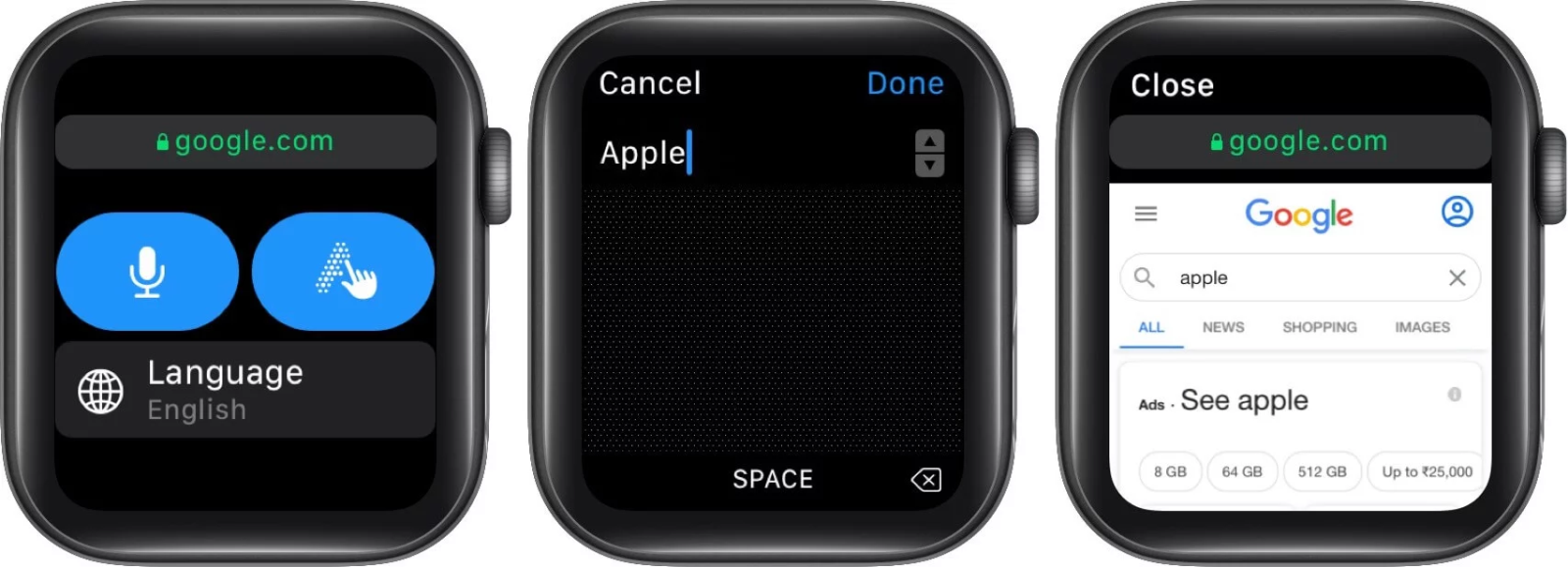 cách mở trang web trên apple watch - hình 3