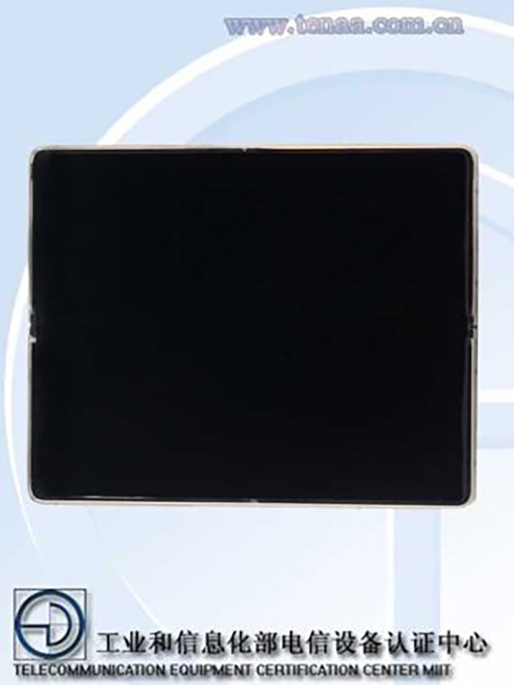 Samsung Galaxy W21 (ảnh 2)