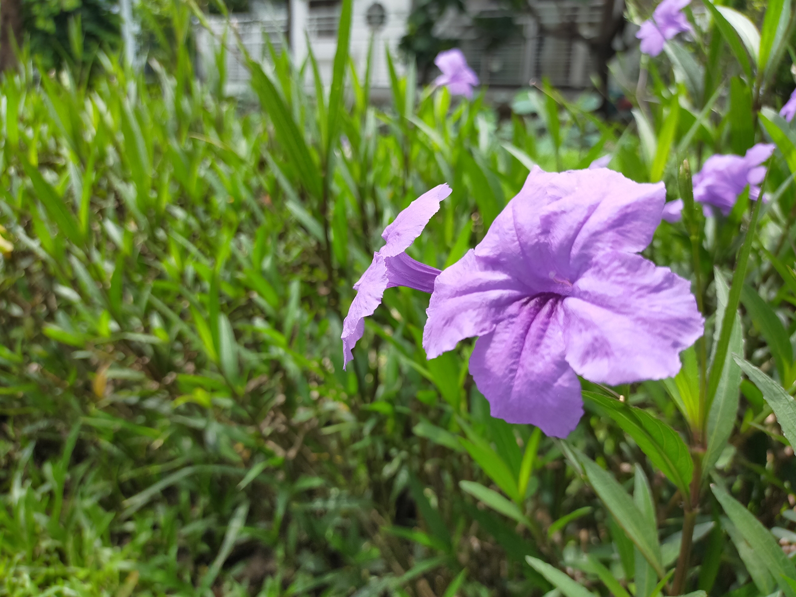 OPPO A92