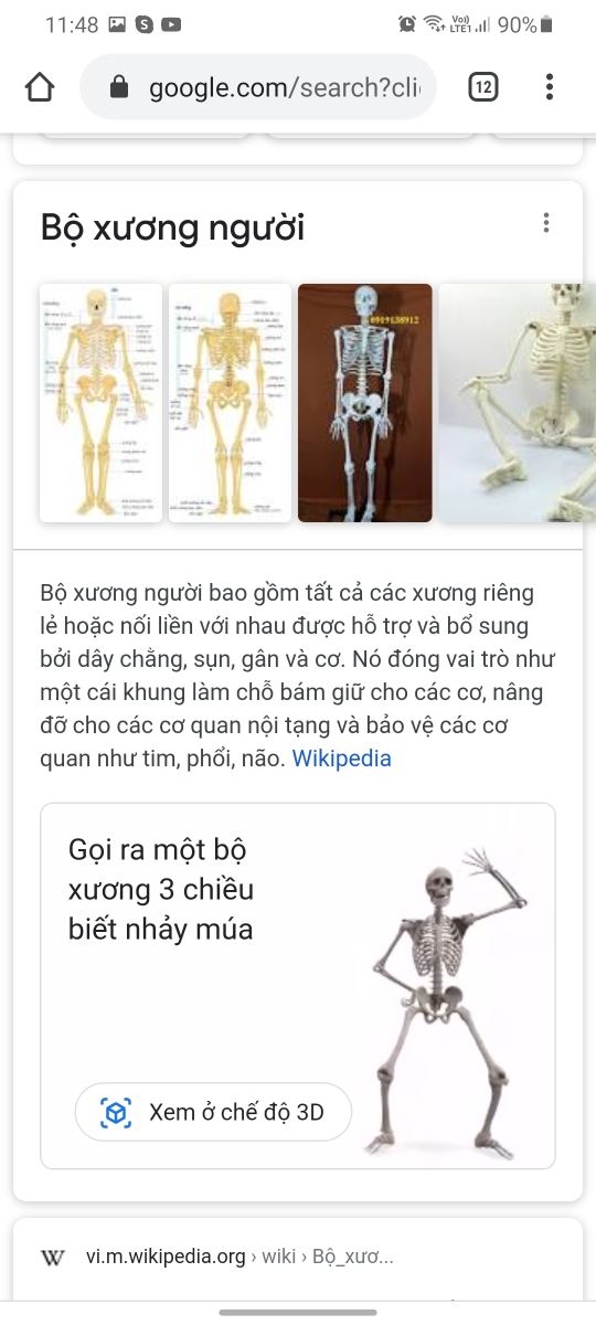 Rục rịch Halloween, Google cập nhật nhiều biểu tượng động vật 3D thú vị 2