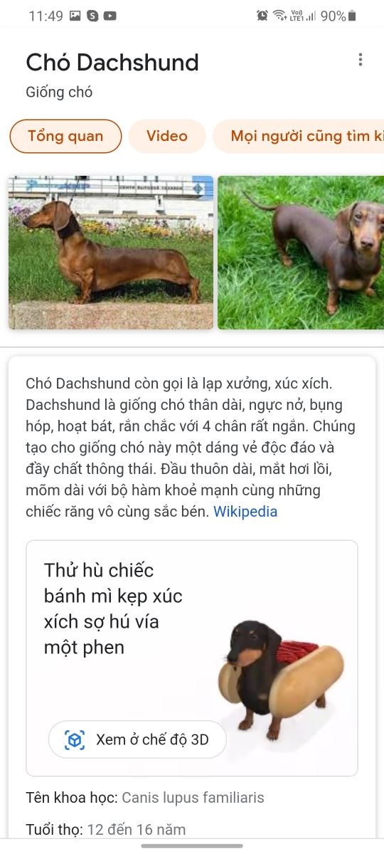 Rục rịch Halloween, Google cập nhật nhiều biểu tượng động vật 3D thú vị 4