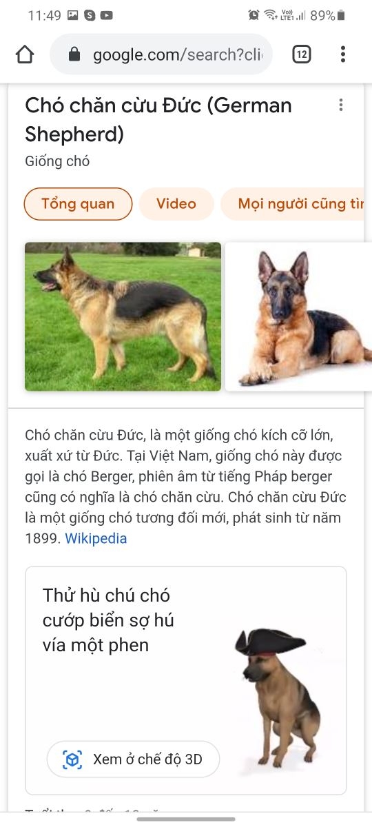 Rục rịch Halloween, Google cập nhật nhiều biểu tượng động vật 3D thú vị 5