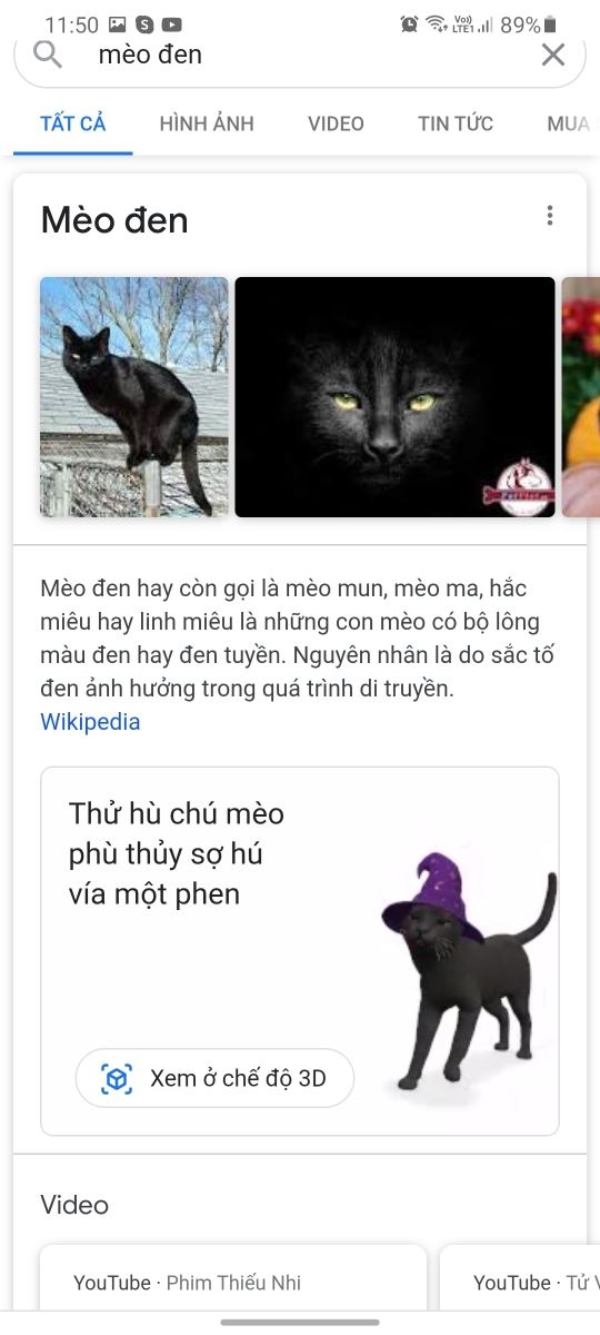 Rục rịch Halloween, Google cập nhật nhiều biểu tượng động vật 3D thú vị 6