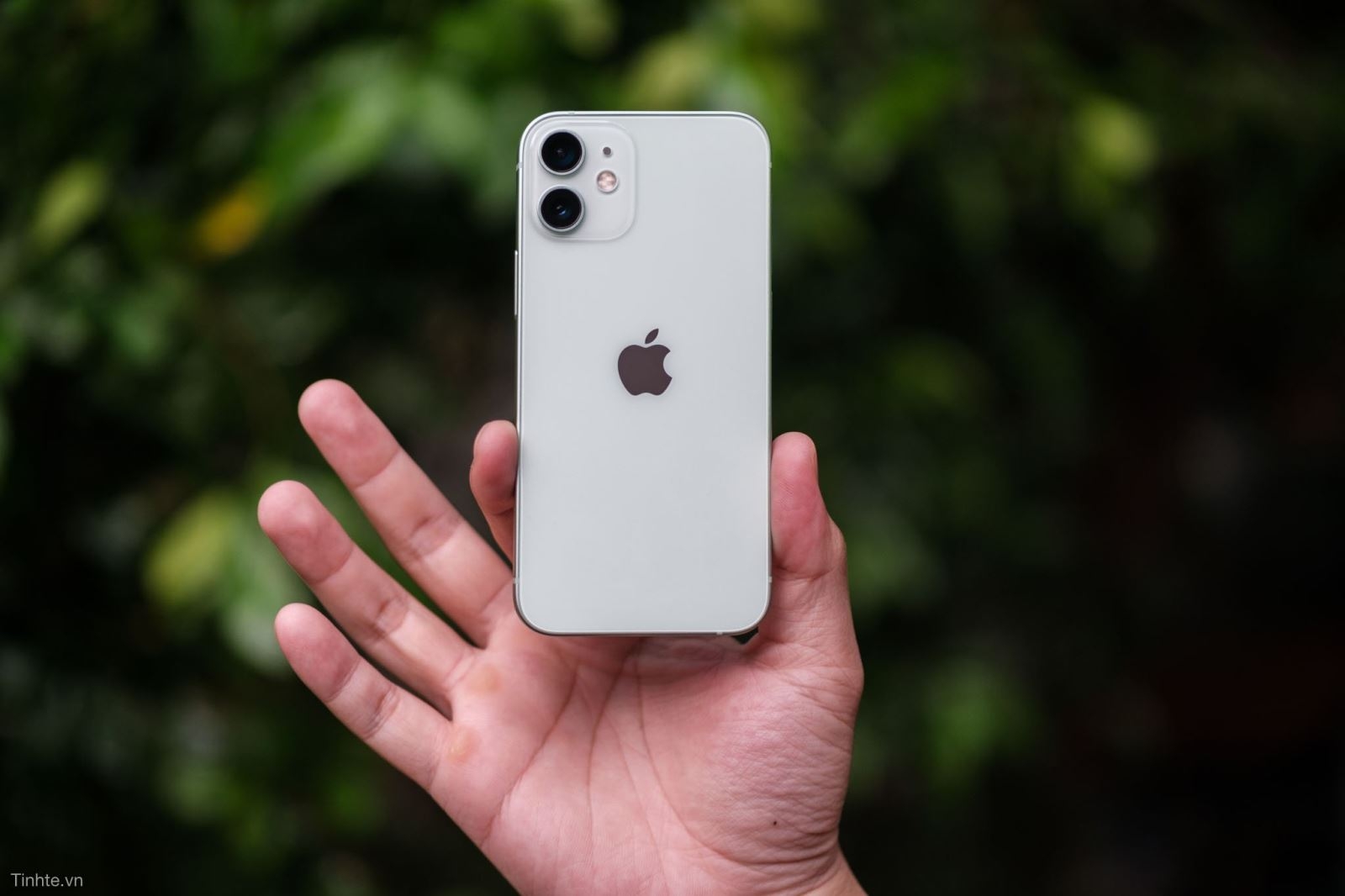 camera iPhone 12 mini