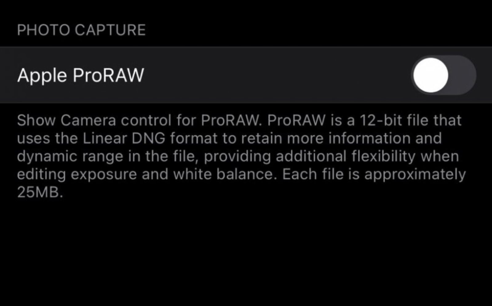 Bạn đã biết gì về ProRAW – Định dạng ảnh thú vị sắp có mặt trên iPhone 12 Pro? 6