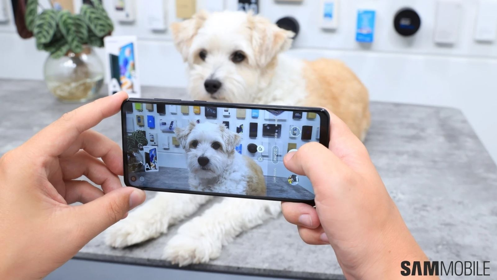 Samsung Galaxy A21s