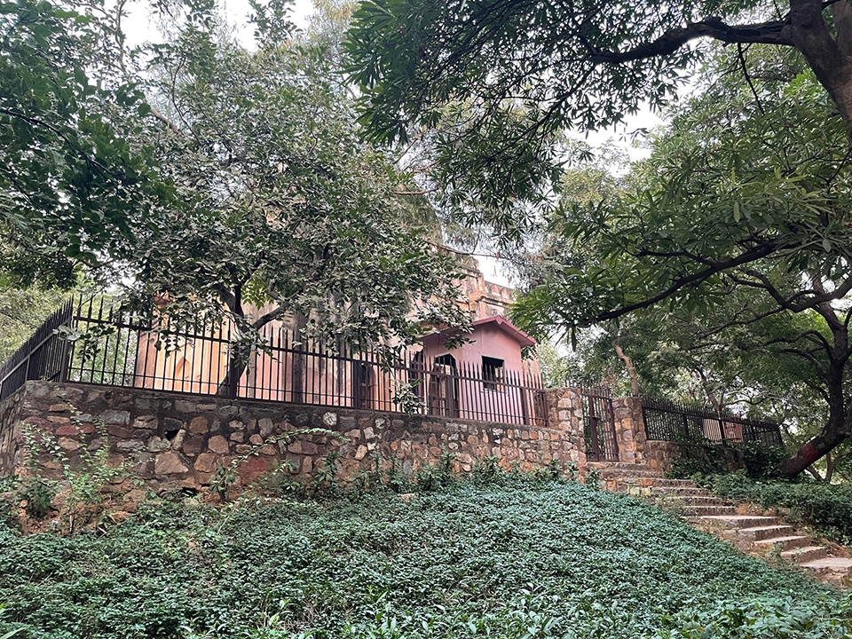 Camera iPhone 12 vs Samsung Galaxy S20 FE Camera iPhone 12 vs Samsung Galaxy S20 FE