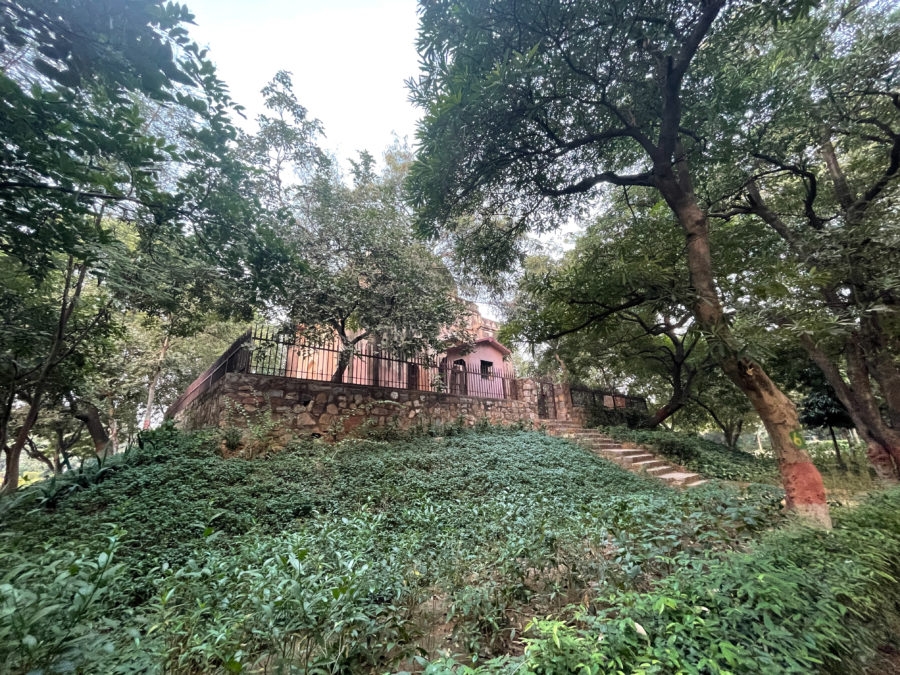 Camera iPhone 12 vs Samsung Galaxy S20 FE Camera iPhone 12 vs Samsung Galaxy S20 FE