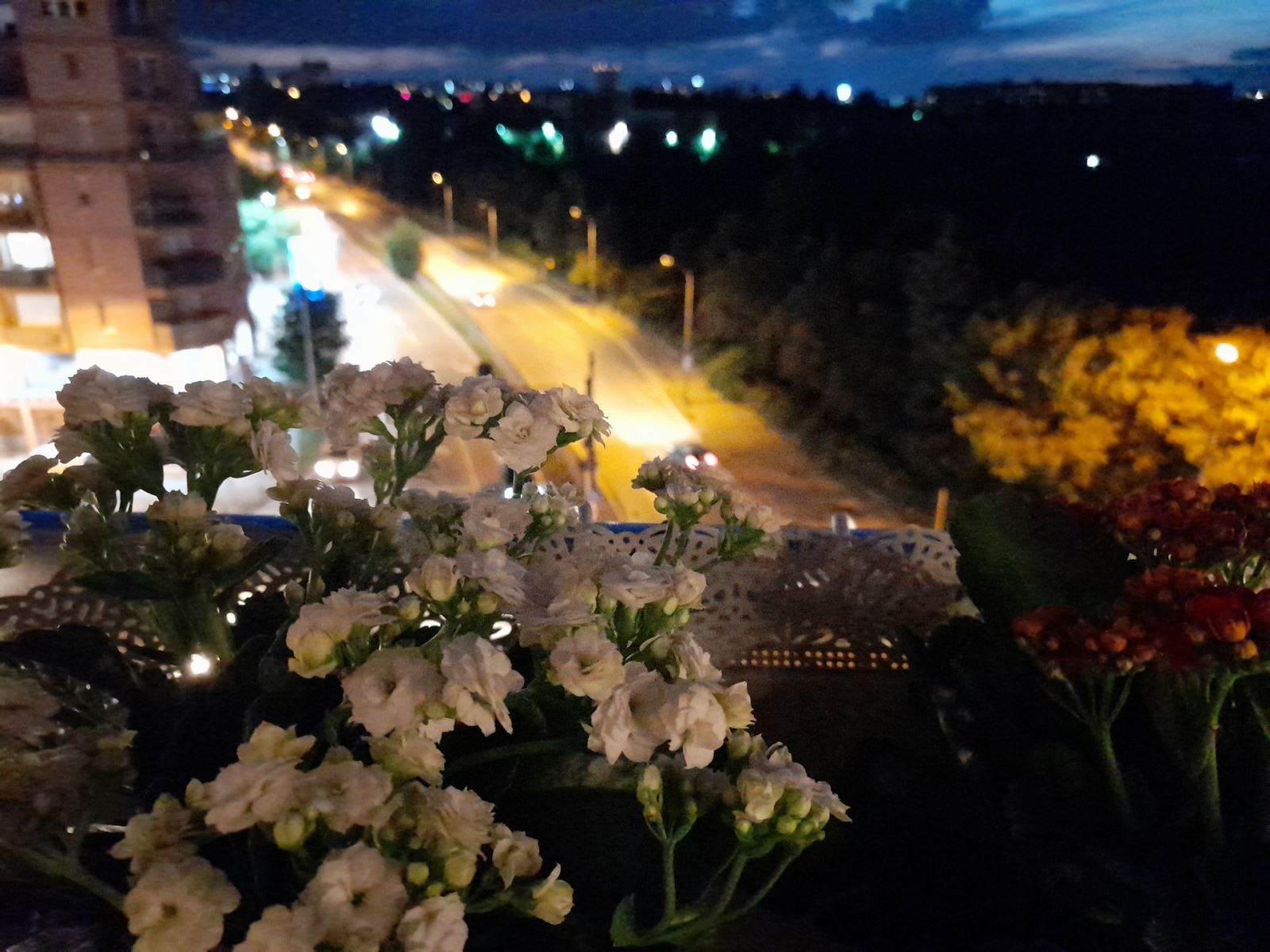 Đánh giá camera Samsung Galaxy A21s