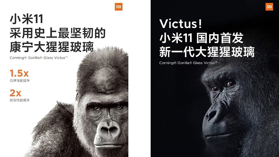 Xiaomi Mi 11 sẽ dùng kính Corning Gorilla Glass Victus (ảnh 1) Xiaomi Mi 11 sẽ dùng kính Corning Gorilla Glass Victus (ảnh 1)