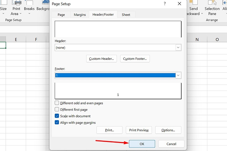 Tổng hợp 5 cách đánh số trang trong Excel (hình 4)