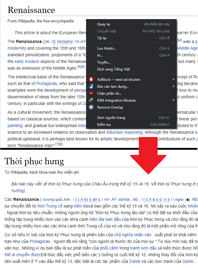 Cách bật phím tắt dịch trong Google Chrome - hình 2