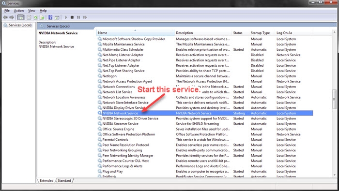 NVIDIA Network Service