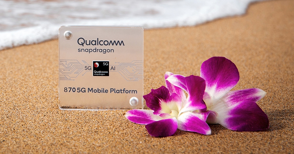 Snapdragon 870
