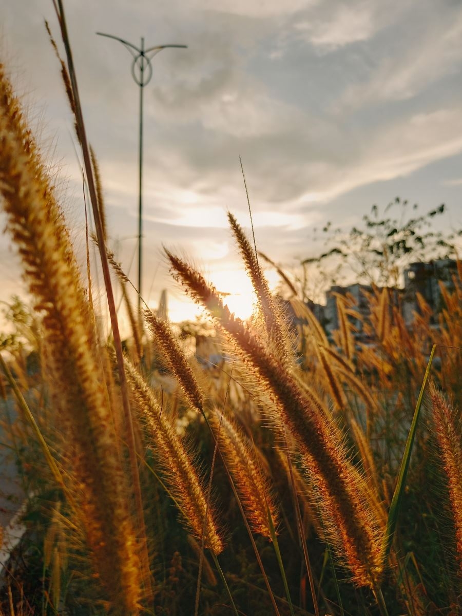 Đánh giá camera Galaxy A12