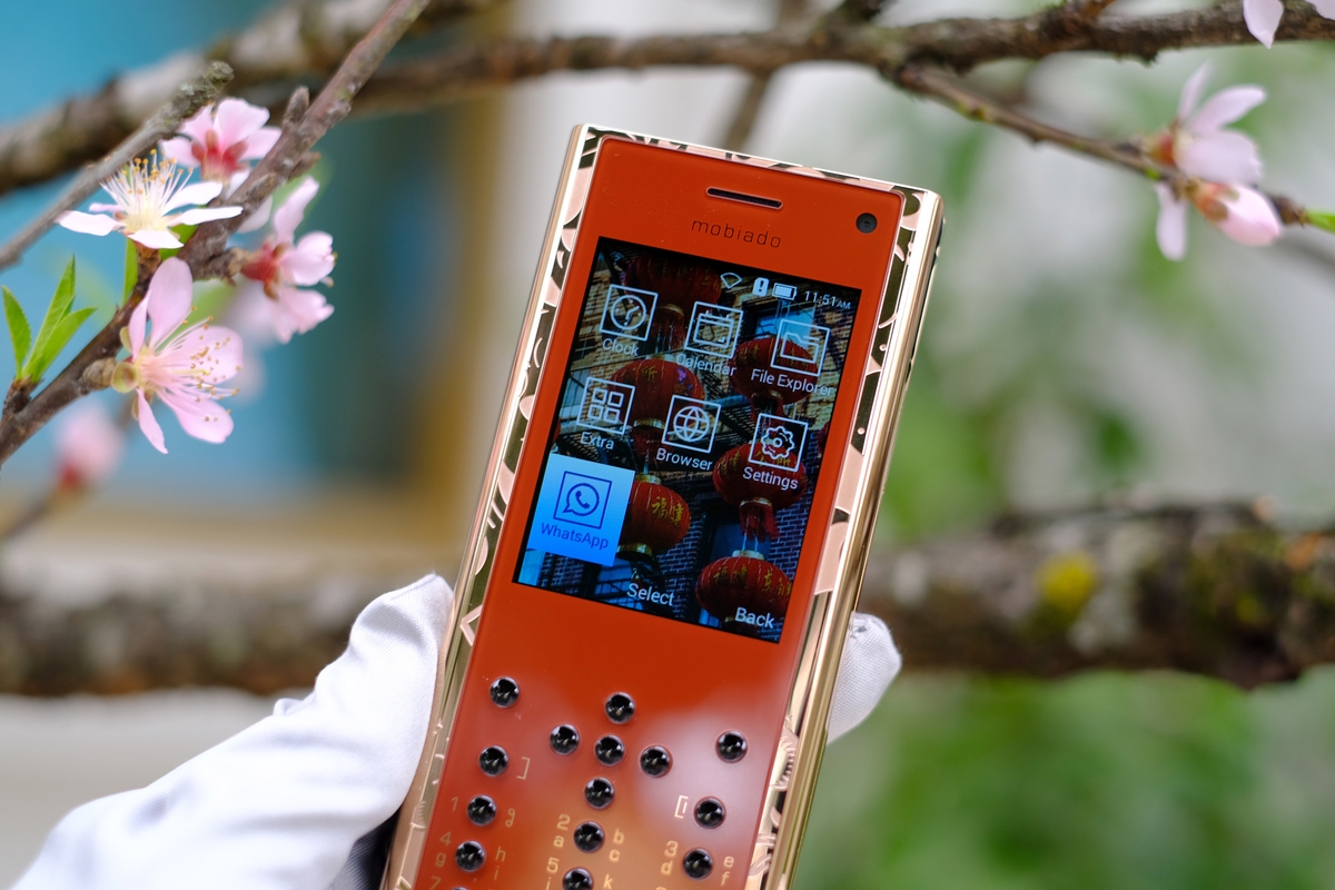 Chiêm ngưỡng điện thoại Trâu vàng giá hơn trăm triệu đồng