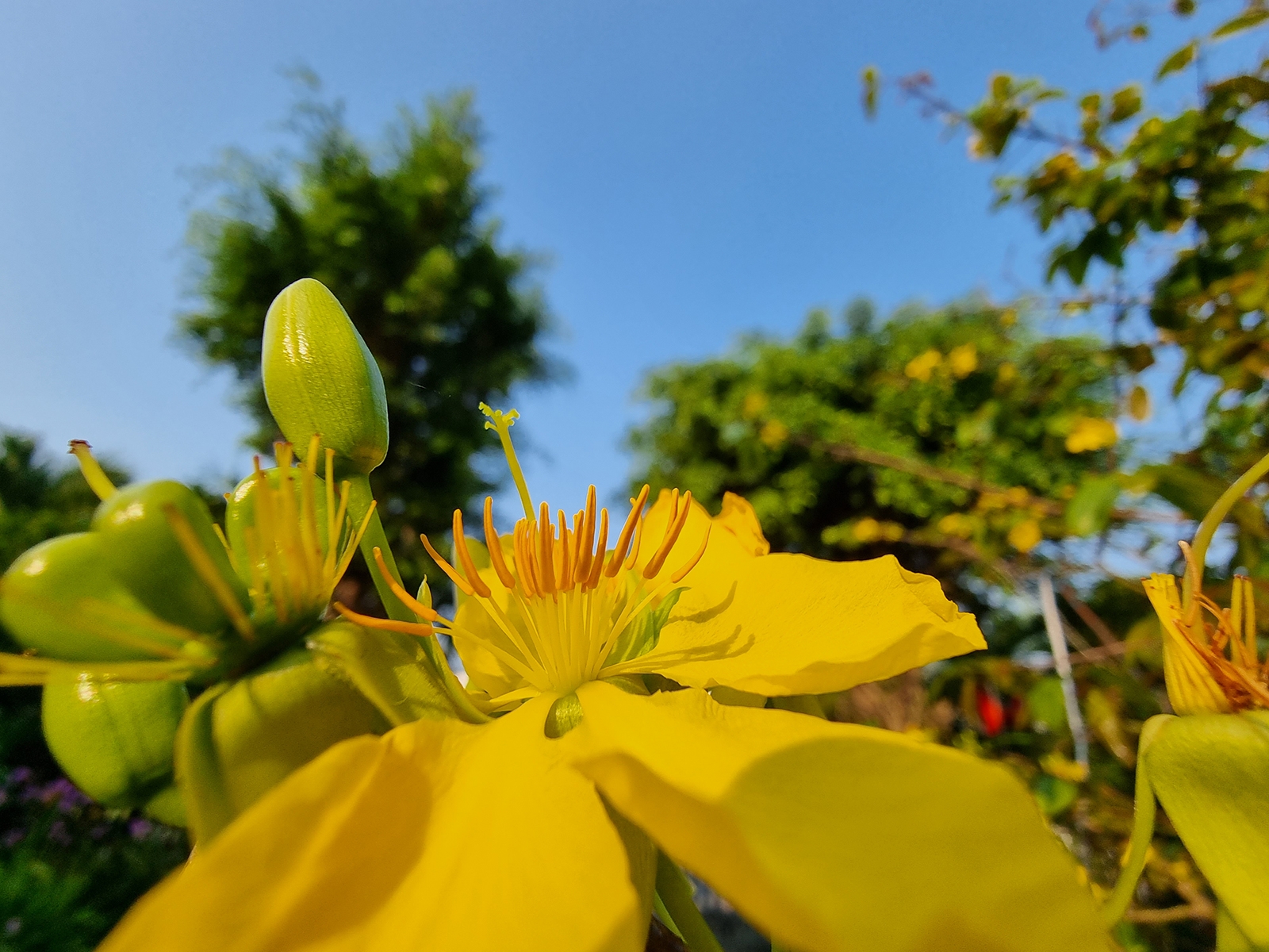 Camera Galaxy S21 Ultra