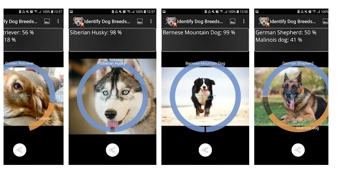 Identify Dog Breeds Pro