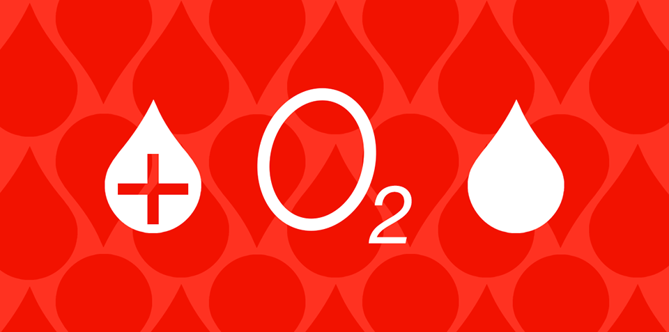 Thông tin Apple Watch Series 7 (ảnh 3)