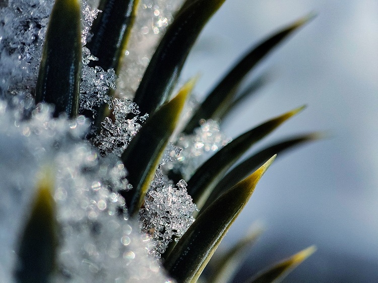 Ảnh chụp từ camera Xiaomi Mi 11 5G (3)