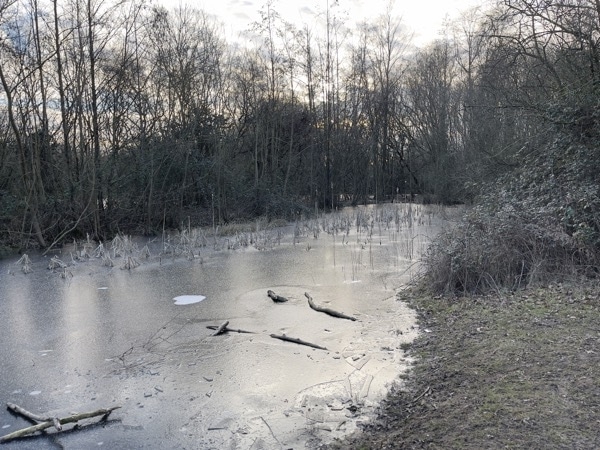 iPhone 12 Pro Max vs Galaxy S21 Ultra 03 iPhone 12 Pro Max vs Galaxy S21 Ultra 03