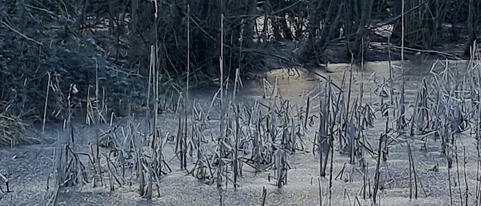 iPhone 12 Pro Max vs Galaxy S21 Ultra 05 iPhone 12 Pro Max vs Galaxy S21 Ultra 05