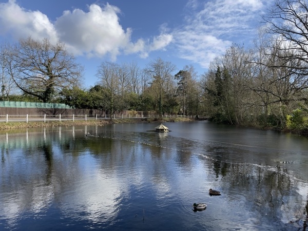 iPhone 12 Pro Max vs Galaxy S21 Ultra 06 iPhone 12 Pro Max vs Galaxy S21 Ultra 06