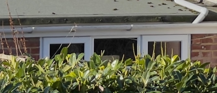 iPhone 12 Pro Max vs Galaxy S21 Ultra 19 iPhone 12 Pro Max vs Galaxy S21 Ultra 19