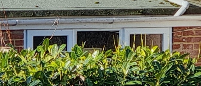 iPhone 12 Pro Max vs Galaxy S21 Ultra 20 iPhone 12 Pro Max vs Galaxy S21 Ultra 20