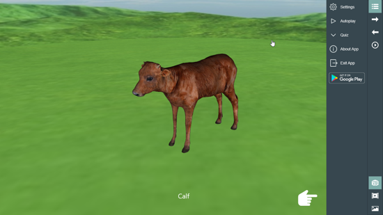 Animals for Kids 3D