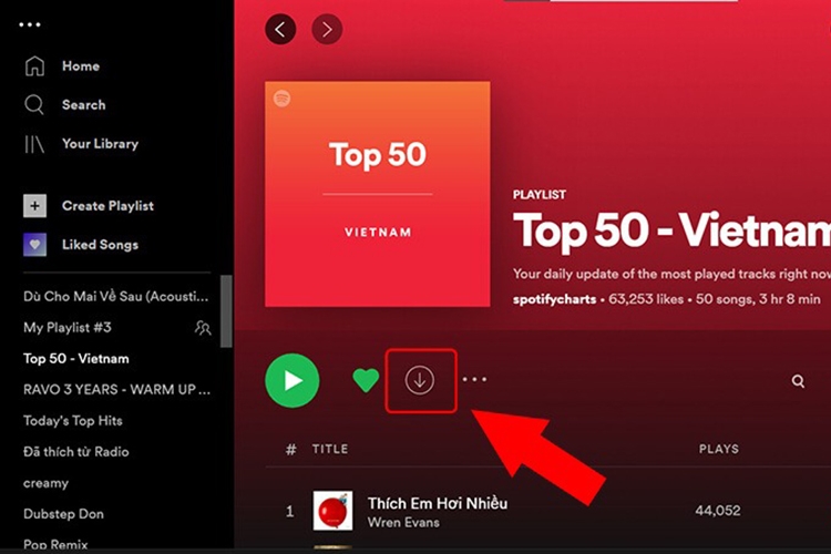 Bí kíp tải nhạc trên Spotify (Hình 10)