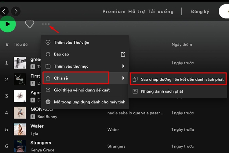 Bí kíp tải nhạc trên Spotify (Hình 11)