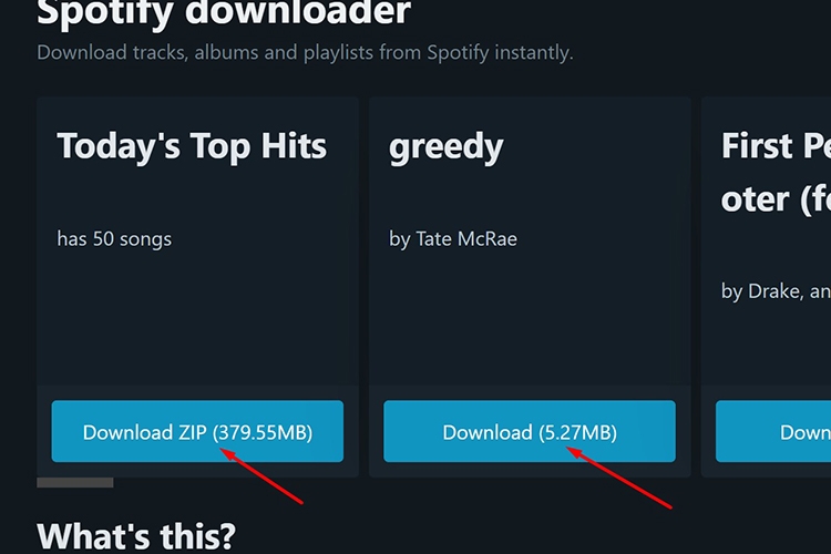 Bí kíp tải nhạc trên Spotify (Hình 15)