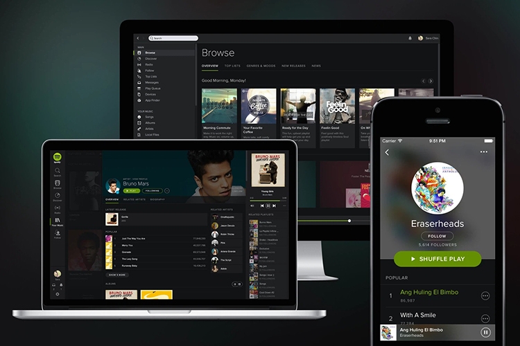 Bí kíp tải nhạc trên Spotify (Hình 16)