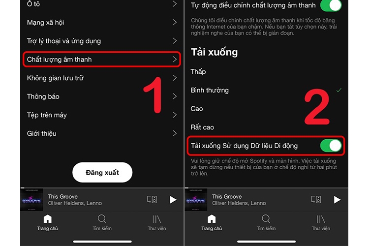 Bí kíp tải nhạc trên Spotify (Hình 17)