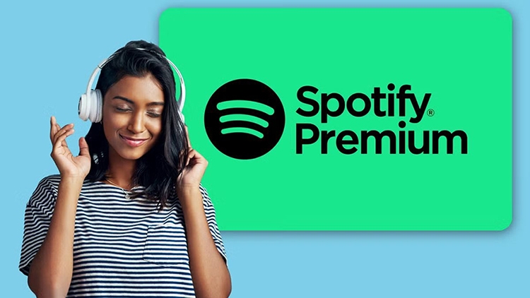 Bí kíp tải nhạc trên Spotify (Hình 3)