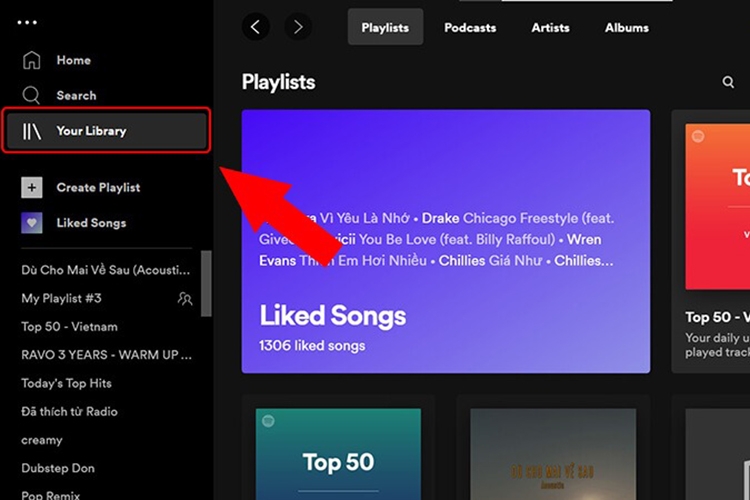 Bí kíp tải nhạc trên Spotify (Hình 9)