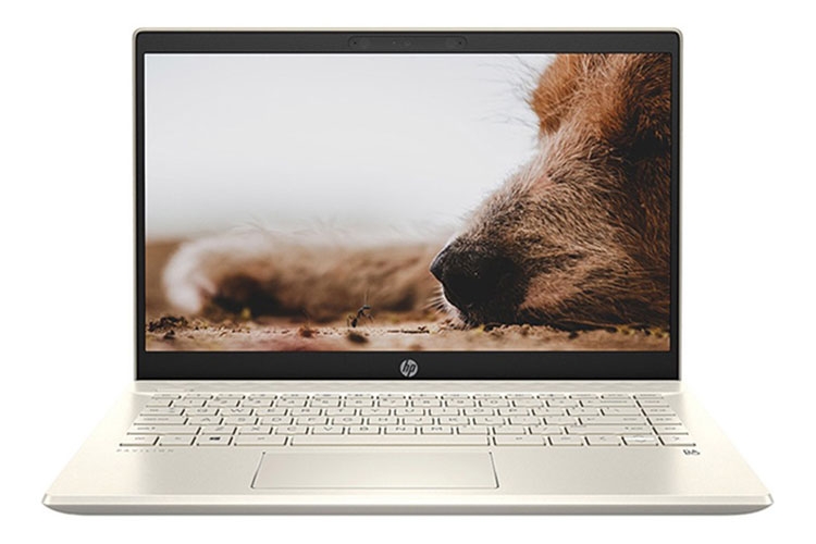 Bộ sưu tập laptop HP cao cấp thế hệ mới đang giảm giá và không nên bỏ qua 4