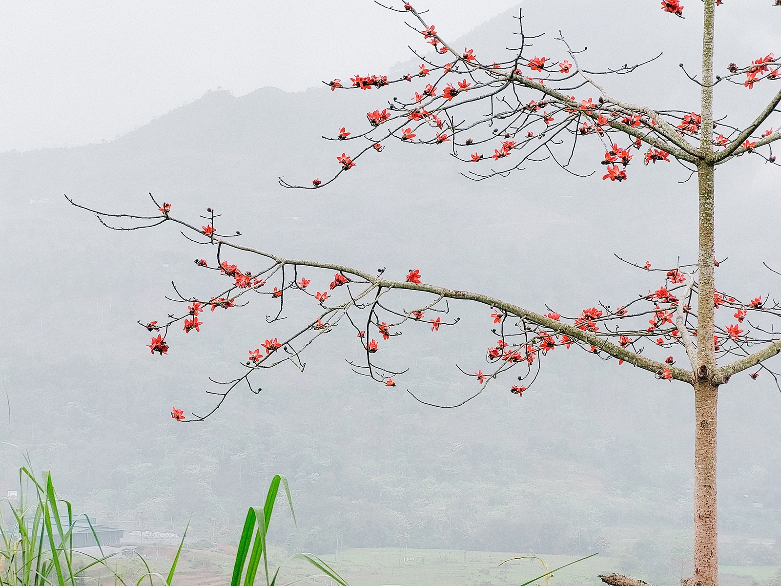 Trải nghiệm camera Samsung Galaxy A72