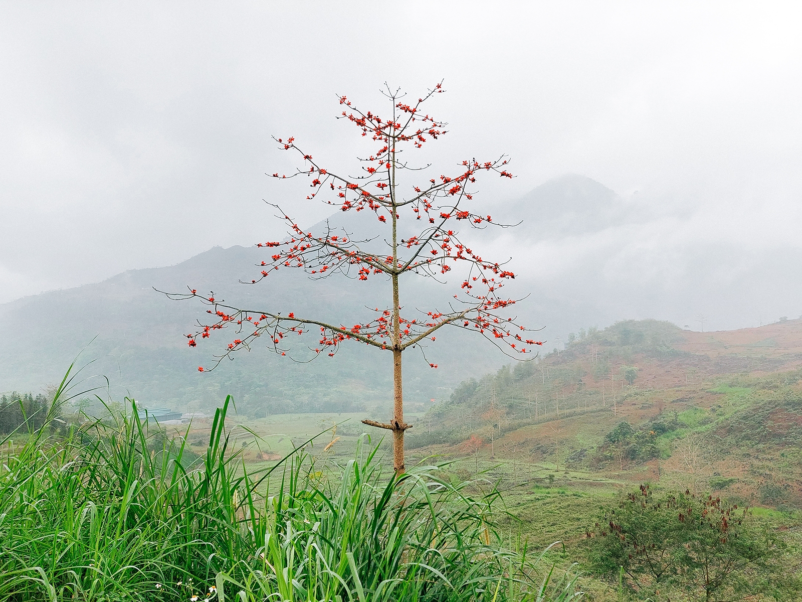 Trải nghiệm camera Samsung Galaxy A72