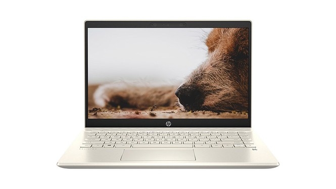 HP Pavilion 14