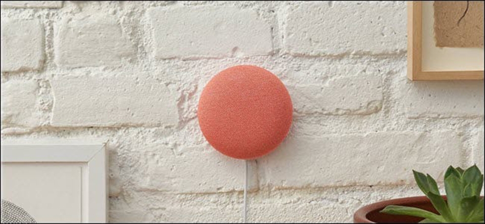 Mini Nest có thể gắn lên tường mà không cần giá treo