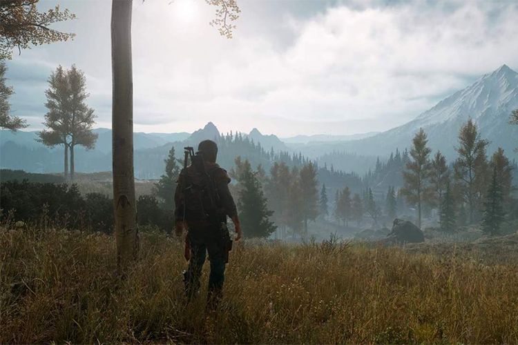 Days Gone