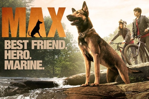 Chú chó Max