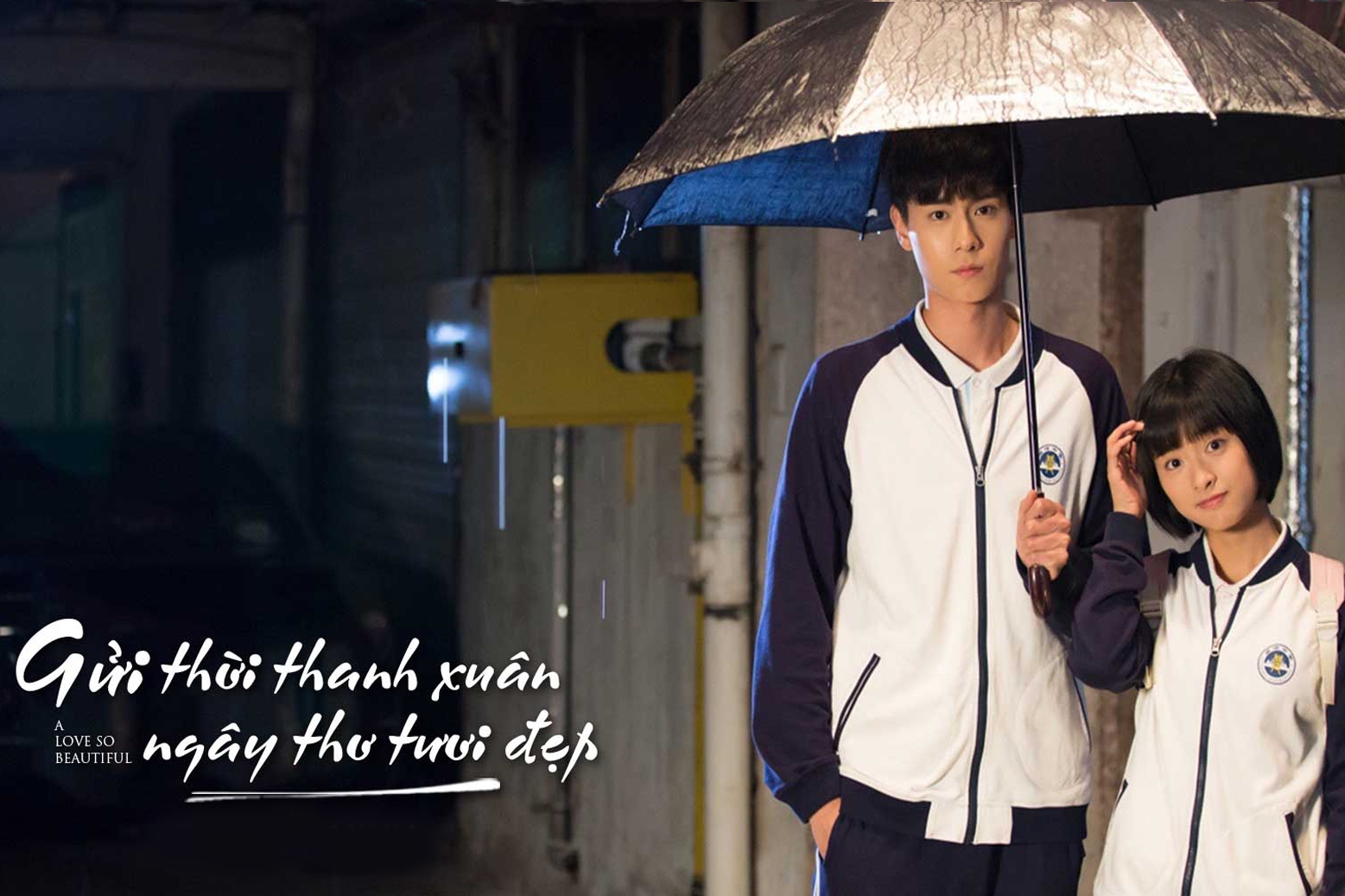 Gửi Thời Thanh Xuân Ngây Thơ Tươi Đẹp (2017)